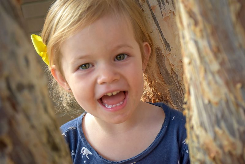 Ferntree Gully Children's Centre